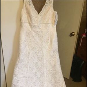 Beautiful new wedding dress!